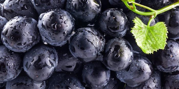 1920x1200 food, Photography, Colorful, Blueberries Wallpapers HD / Desktop