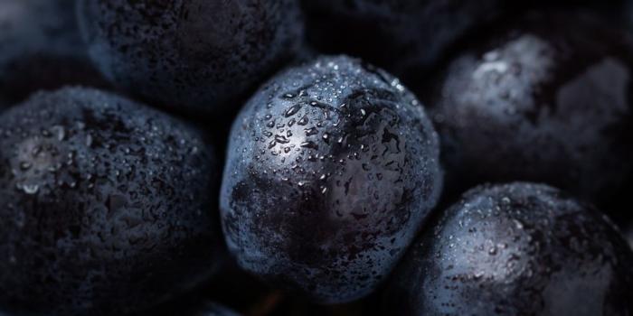 1000x1250 100+ Grape Pictures | Download Free Images on Unsplash