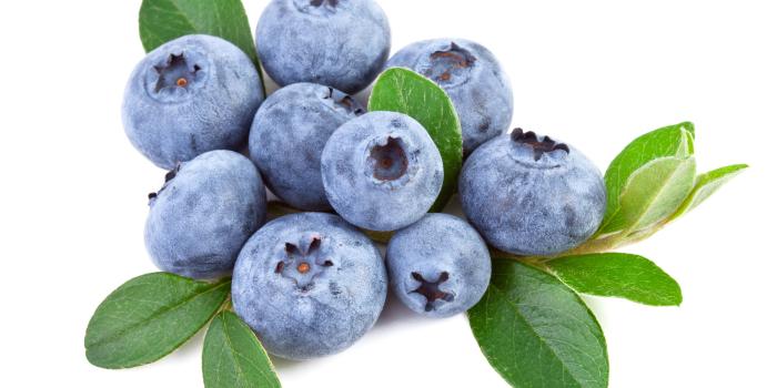 3600x3288 Fresh blueberry 55794 - Background color theme - Colorful wallpaper