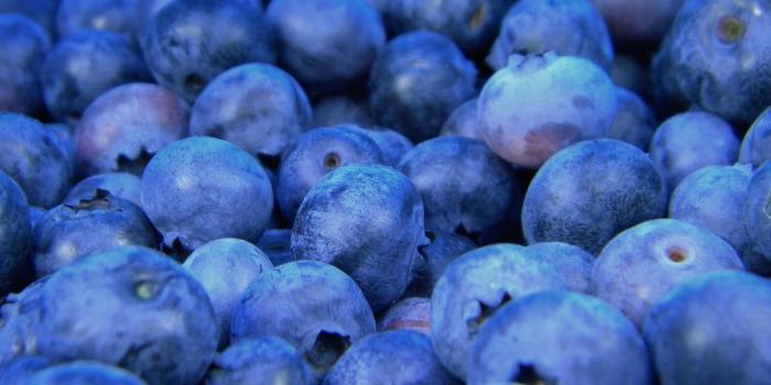 1080x810 Blue Fruit Pictures | Download Free Images on Unsplash