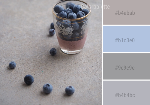 1411x1380 Color Palette Ideas from Blueberry Berry Superfood Image