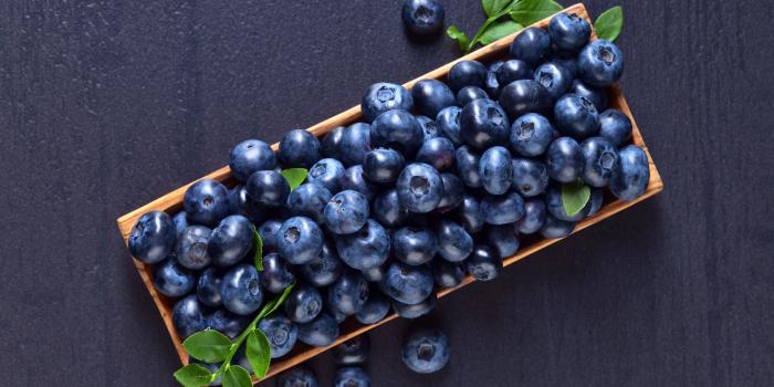 3840x2772 Blueberry Wallpapers - Top Free Blueberry Backgrounds