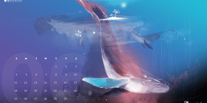 2560x1440 Good Vibes And Summer Dreams: Joyful Wallpapers For Your Desktop