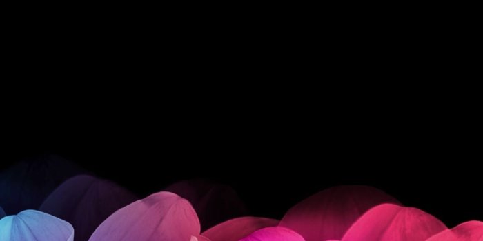 1080x1920 Black and Purple iPhone Wallpaper (81+ images)