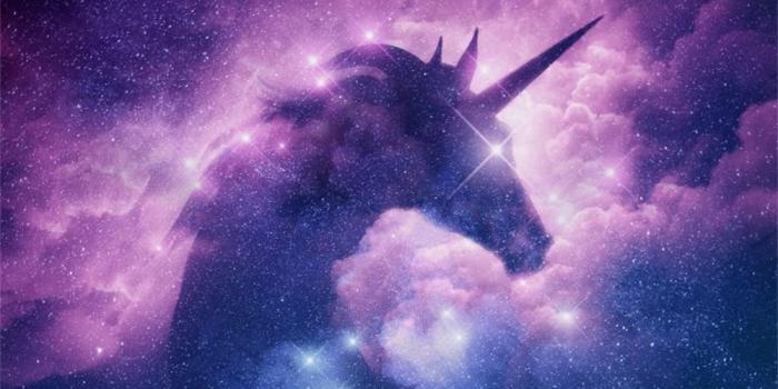 1000x1000 Amazon.com : LFEEY 8x8ft Starry Stars Unicorn Silhouette Backdrop