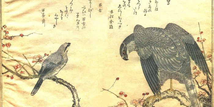 1440x903 Download Wallpapers, Download 2560x1600 paintings birds japanese