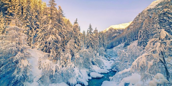 2048x1366 Tree covered by snow at daytime, Alps, winter, mountains, forest