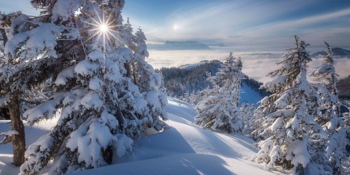 1332x850 Wallpaper winter, snow, trees, mountains, Austria, ate, Alps, the