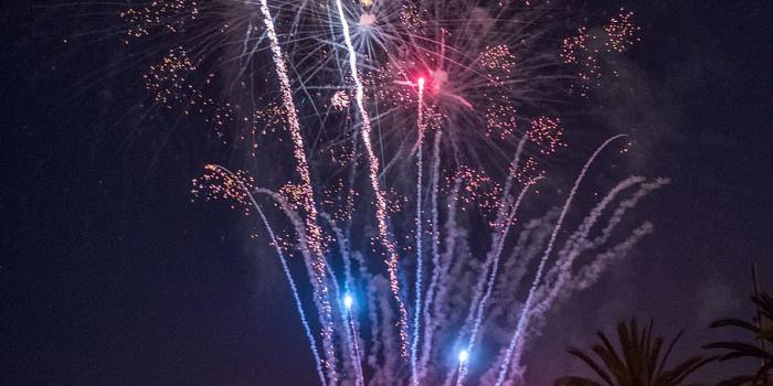 910x1365 HD wallpaper: spain, canet de mar, festa, major, summer, beach