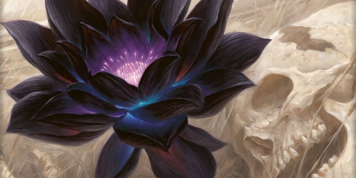 1280x960 Wallpaper of the Day: Black Lotus | MAGIC: THE GATHERING