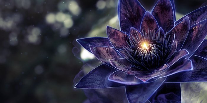 1280x1024 Black Lotus Wallpapers - Top Free Black Lotus Backgrounds