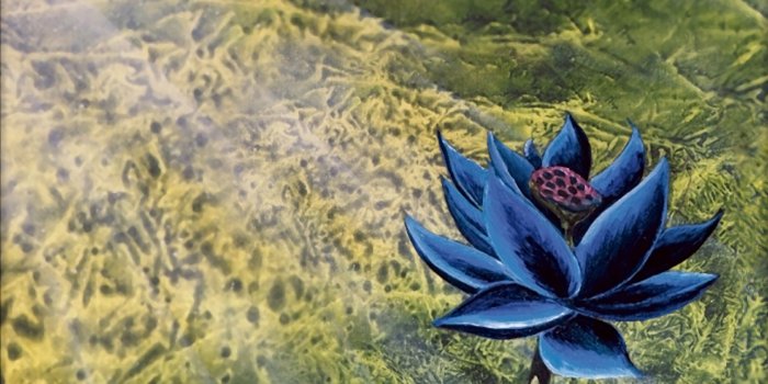 1920x1080 Black Lotus Wallpapers - Top Free Black Lotus Backgrounds