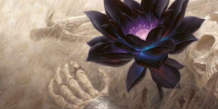 1920x1120 Black Lotus Wallpapers - Top Free Black Lotus Backgrounds
