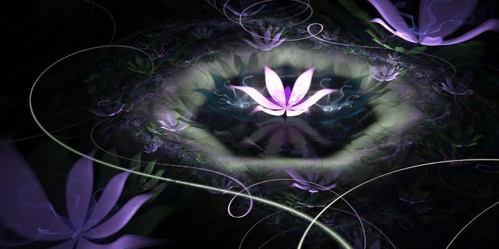 1280x1024 Black Lotus Flower Wallpaper High Quality Free Download | Lotus