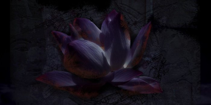 1056x790 Black Lotus Flower Wallpaper For Android - Black Wallpaper Lotus