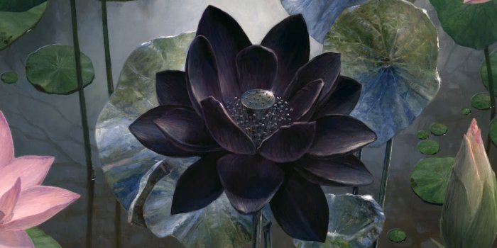 1596x656 The Ninth Sphere: Restoring a Lotus Petal – The Mana Base