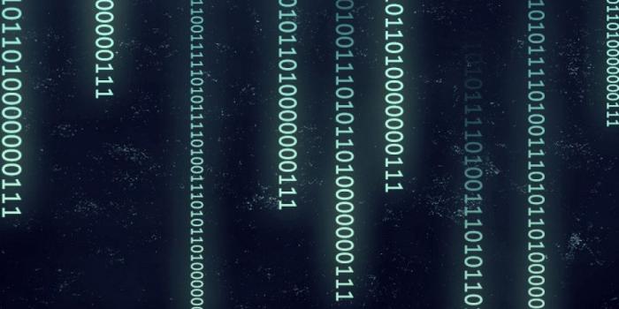 1000x1600 Binary Numbers Typography Matrix Android Wallpaper free download