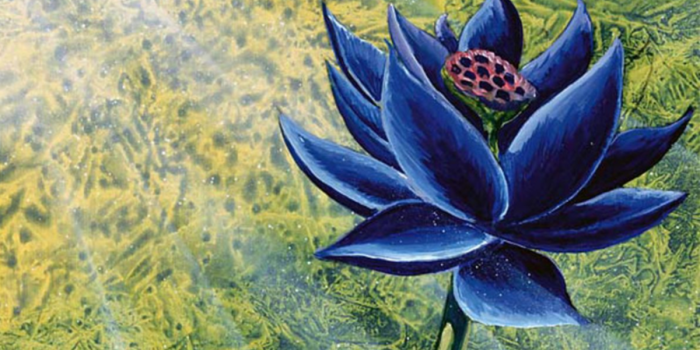 1200x675 Rare Alpha Black Lotus Sells For $87,000