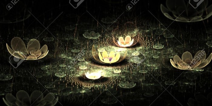 1300x866 Black Lotus Flower Wallpapers Picture Free Download > SubWallpaper