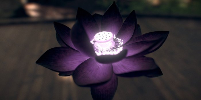 1920x1080 Black Lotus - 3D model by Frank Moussette (@moussetticus) [3c08afd