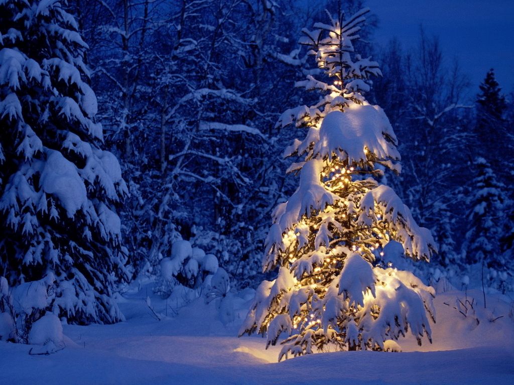 1024x768 Winter Wallpapers - Christmas Snow Landscapes (#136638) - HD