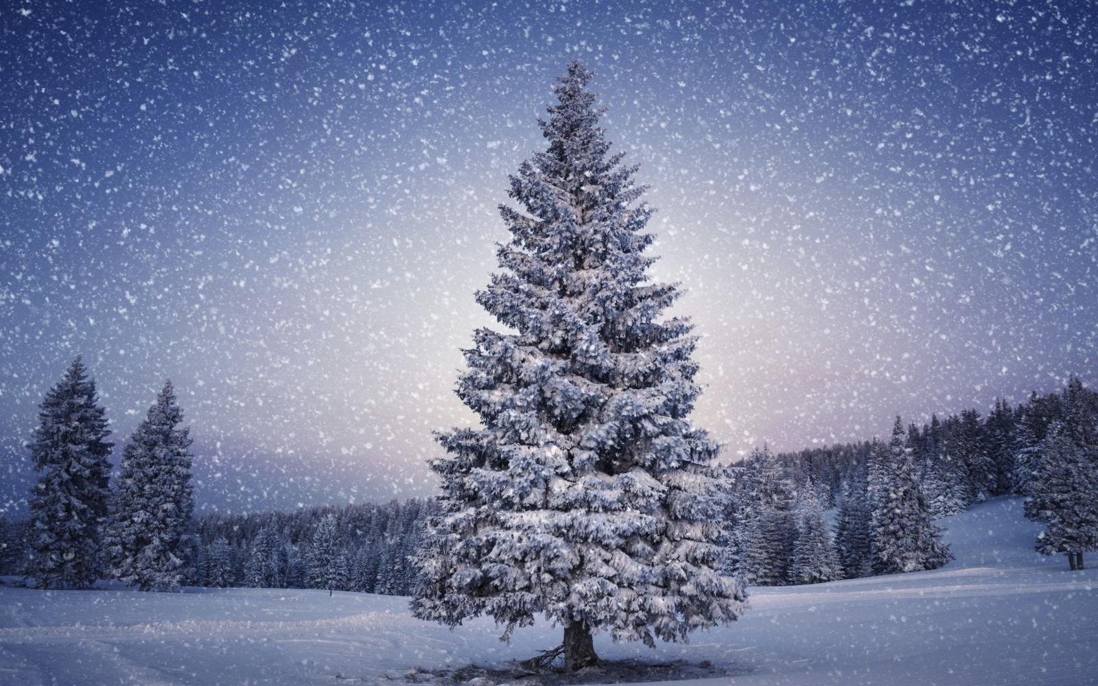 2560x1600 Christmas Snow Wallpapers - Top Free Christmas Snow Backgrounds