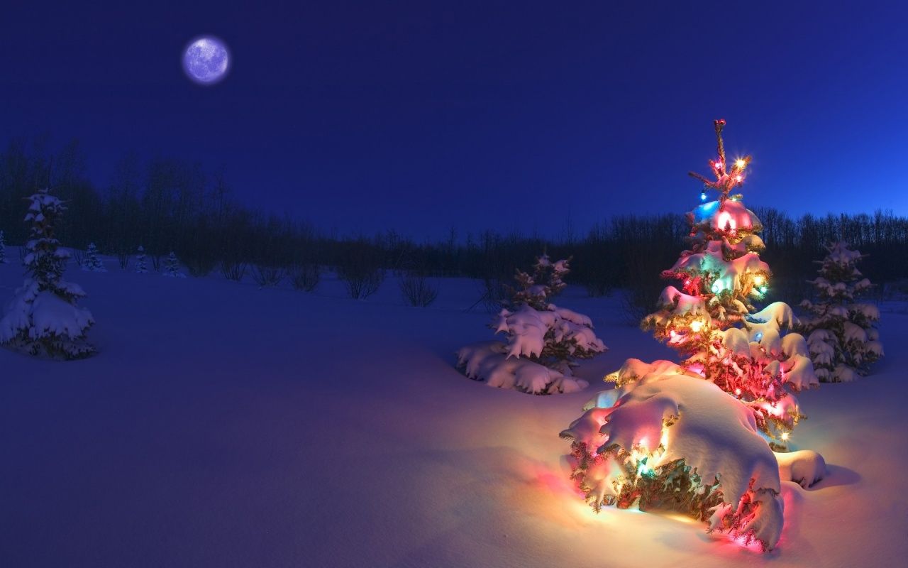 1280x800 18 Wallpaper of Christmas Tree Snow in 100% Quality HD