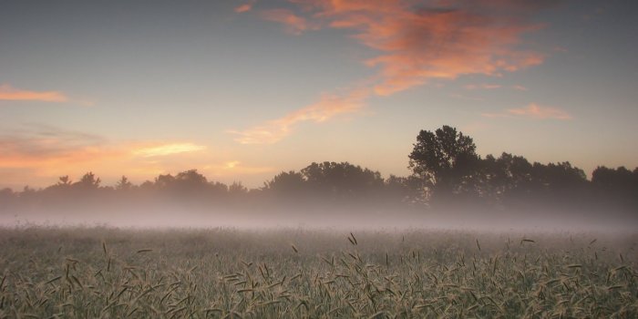 1920x1200 Early Morning Fog - Free wallpapers