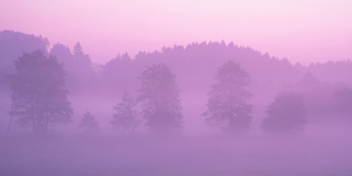 2560x1600 Pink Early Morning Fog wallpaper | 2560x1600 | #31332