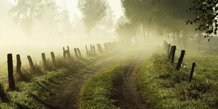 1600x1000 Free download Early Morning Fog Wallpapers [1600x1000] for your
