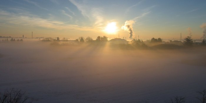 2560x1440 Early Morning Fog In Winter Ultra HD Desktop Background Wallpaper