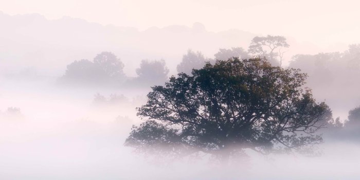 2560x1600 Morning Fog, Early Morning Fog And Mist Image, #20505