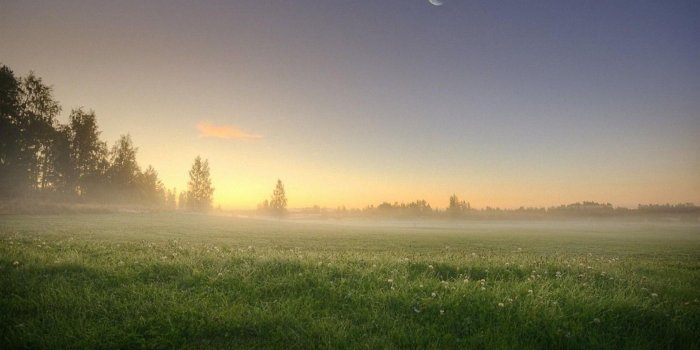1680x1050 Free Wallpaper - Free Nature wallpaper - Early morning fog