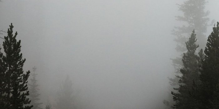 1000x1500 Fog Pictures | Download Free Images on Unsplash