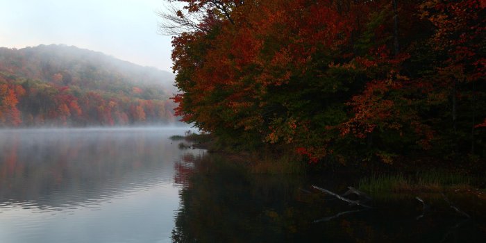 5616x3744 Fall Foliage Mountain Lake Early Morning Fog | Foliage| Free