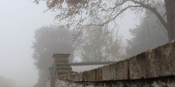 910x1281 HD wallpaper: Autumn, Wall, Cemetery, Leaves, Fog, early morning