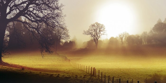 2560x1600 HD Morning Fog Background Wallpapers | Download Free - 855284