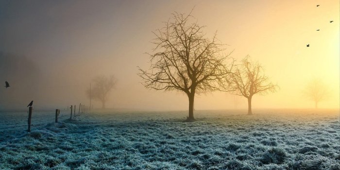 1920x1200 Free Wallpaper - Free Nature wallpaper - Early morning fog