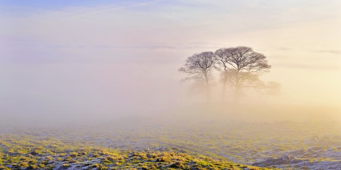 2560x1440 Awesome Morning Fog Backgrounds HD Wallpaper Free Download
