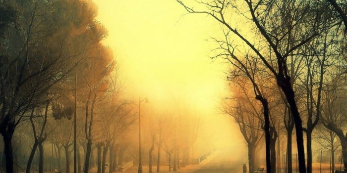 1440x1280 Early Morning Fog wallpaper by harpreet_avtar - e3 - Free on ZEDGE™