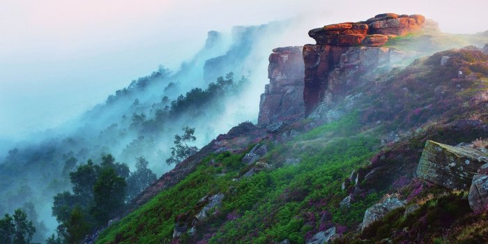 1920x1200 Early morning mountain landscape, forest, fog, flowers, grass