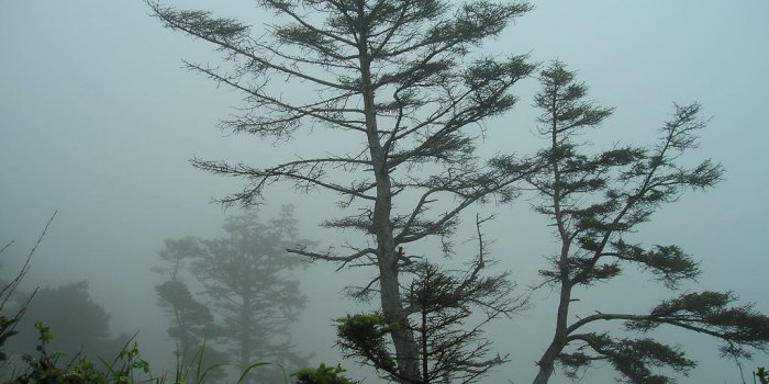 1024x768 Through early morning fog I see... - Album on Imgur