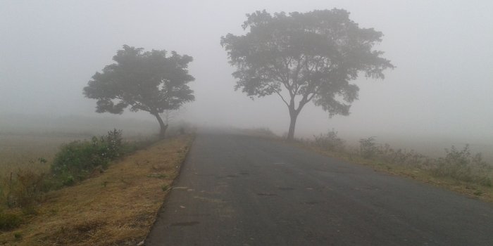 2560x1920 Free photo: Early morning road - Fog, Foggy, Nature - Free