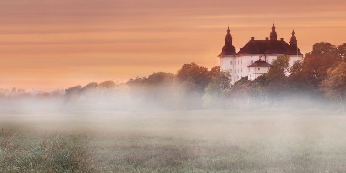 1332x850 Wallpaper field, autumn, forest, the sky, grass, trees, fog, dawn