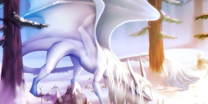 2048x2048 2048x2048 When White Dragon Meets Cute Rabbit Ipad Air HD 4k