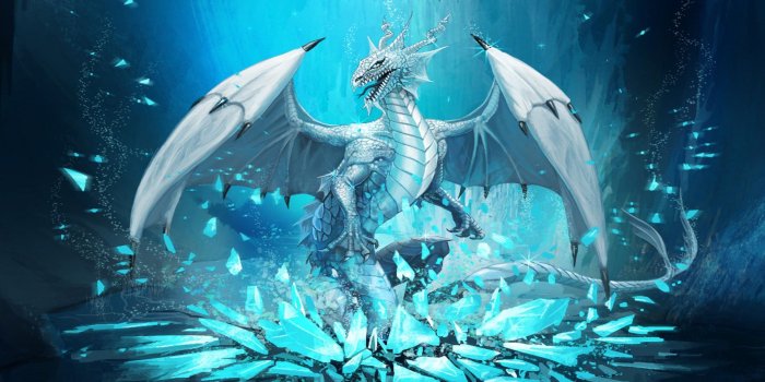 1920x1080 Cutest Baby Dragons Wallpapers