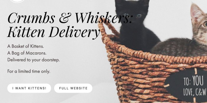 1400x1050 Cat Fans Can Now Order Baskets of Kittens from Crumbs & Whiskers