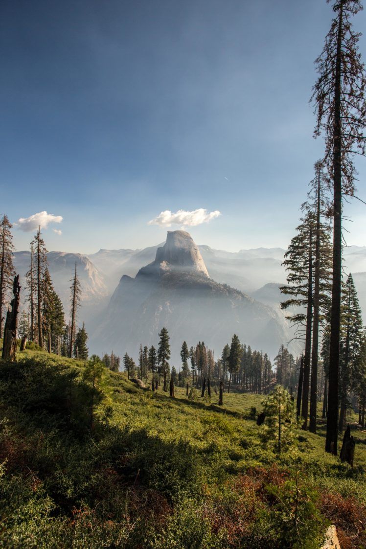 748x1122 Panorama Trail, Yosemite National Park, California, Nature, Trees