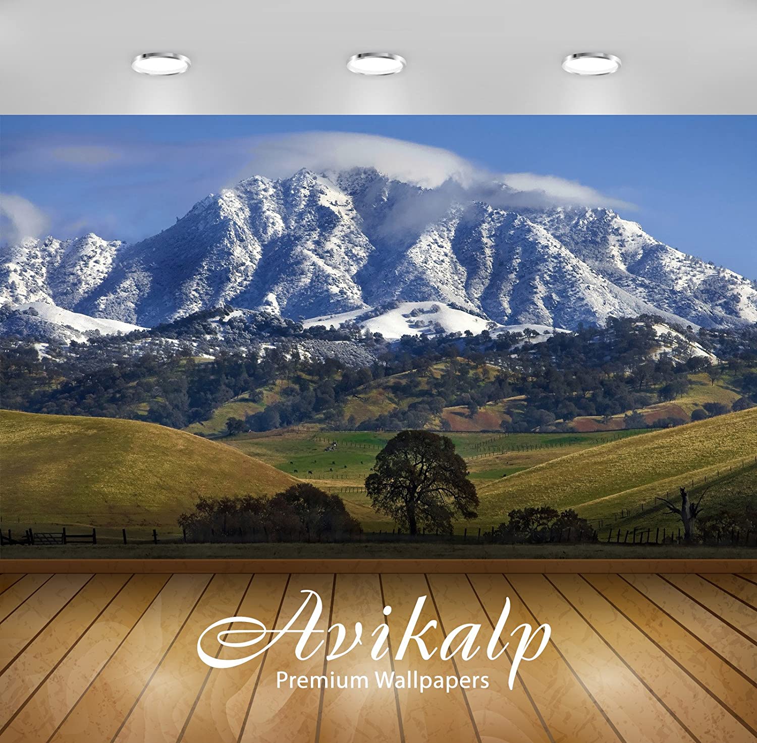 1500x1474 Buy Avikalp Exclusive Awi5787 Mount Diablo California Nature Full