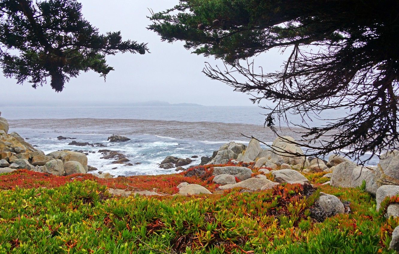 1332x850 Wallpaper USA, Coast, California, Nature. images for desktop